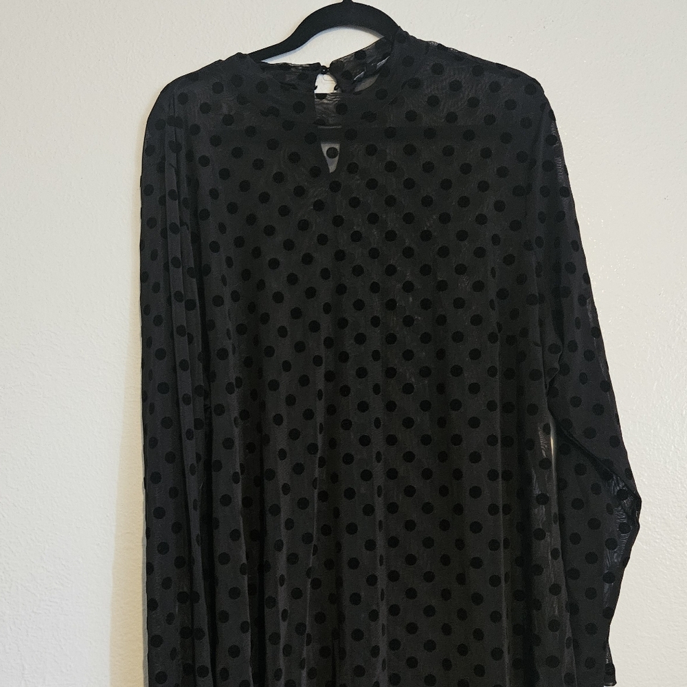 Sheer Black Blouse